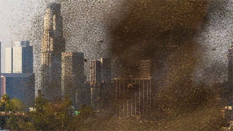 Une tornade d'abeilles tueuses frappe Los Angeles dans la bande-annonce de la saison 8