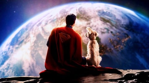 "C'est pour ça qu'il n'est pas un labrador"