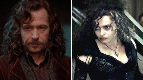 Harry Potter et l'Ordre du Phénix, pourquoi le duel entre Bellatrix et Sirius a-t-il été interrompu ?