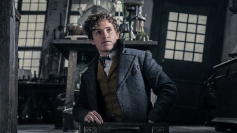 Les Animaux Fantastiques, Eddie Redmayne confirme que la saga ne continuera pas