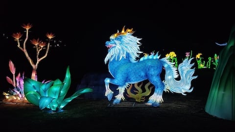 le Noël des merveilles s'illumine avec les lumières chinoises et le grand spectacle sur glace