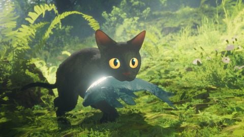 Flow, y a-t-il un Oscar du film d'animation à l'horizon ? Les prix prestigieux se multiplient