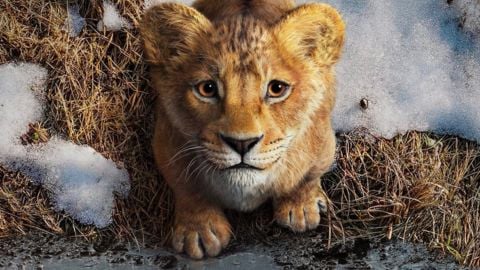 Le réalisateur du Roi Lion a failli refuser le poste : comment a-t-il changé d'avis ?