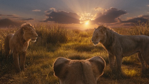 Mufasa, les films comiques et l'actualité Disney des prochains mois