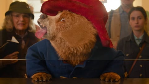 Paddington au Pérou, une nouvelle bande-annonce italienne est arrivée pour le troisième film mettant en vedette l'ours anglais