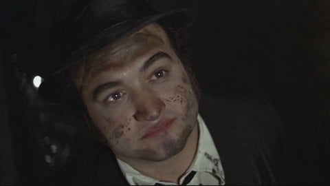 À l'anniversaire de sa disparition, nous nous souvenons de John Belushi à travers ses films de streaming