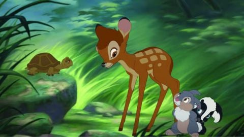 Bambi, la réalisatrice Sarah Polley révèle le contexte de la sortie présumée de la scène par Live Action