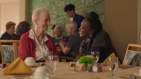 La revue du drame d'une vieille femme aux prises avec la maladie d'Alzheimer