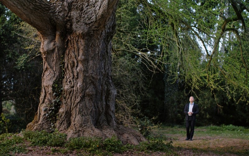 La revue du film botanique d'Illikó Enyedi présenté au Venice Film Festival