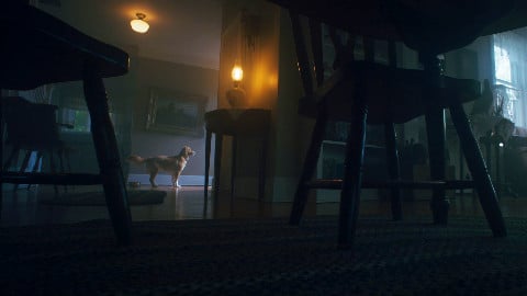 une histoire de fantômes et d'amour, avec un protagoniste incroyable