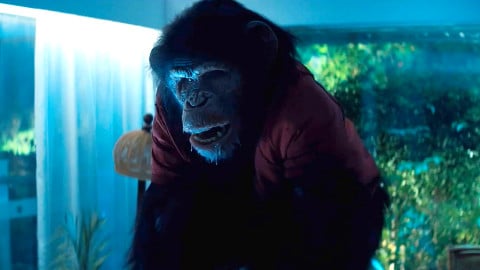 Animal Rage, la critique : un b-movie brutal qui en est fier.