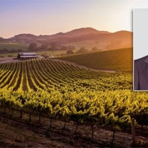 Netflix commande la nouvelle comédie romantique de Darren Star, James McAvoy dans une série Sky TV et d'autres actualités en bref