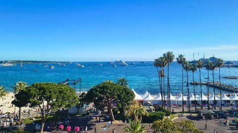 Festival de Cannes 2026 - Retransmission en direct de la journée du mardi 19 mai