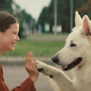 L'incroyable histoire de Lampo, le chien voyageur qui a traversé l'Italie en train