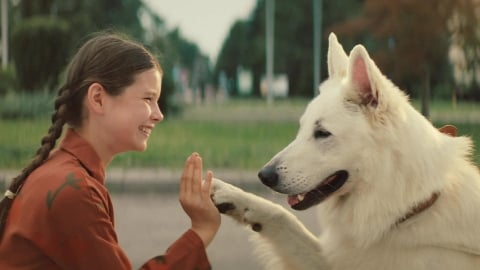 L'incroyable histoire de Lampo, le chien voyageur qui a traversé l'Italie en train