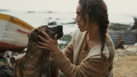 le prix de la meilleure performance canine de Cannes 2026 revient à Tormenta Maria alias Yuri de La Perra
