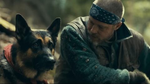 Brad Pitt et un chien seuls en Alaska : voici la bande-annonce italienne de Heart of the Beast