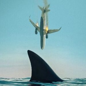 Deep Water, le film catastrophe avec les requins de Renny Harlin a désormais une bande-annonce italienne