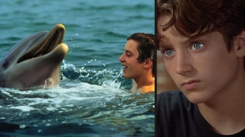 Flipper : Y a-t-il un vrai dauphin dans le film ? La vérité cachée derrière la secte avec Elijah Wood