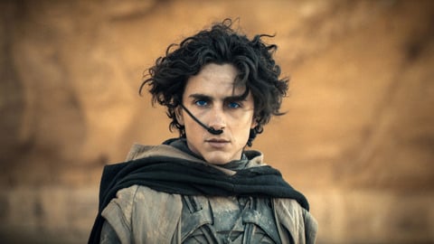 "Je préfère ça aux Oscars" : Timothée Chalamet célèbre le titre des Knicks et la phrase devient virale