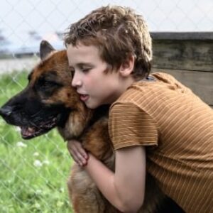 Le chien abandonné à l'aéroport qui attendait son maître depuis des années : l'histoire vraie de Palma