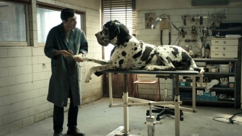 Le crime atroce qui a inspiré Dogman : l'histoire vraie fait plus mal que le film de Garrone