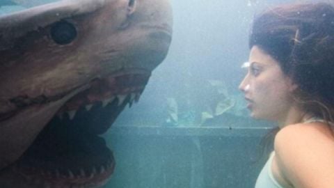 Tania Raymonde pourra-t-elle se sauver et éliminer les requins bouledogue ?