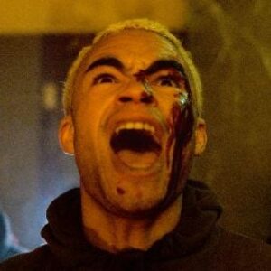 Vermine, la revue : des araignées géantes en banlieue parisienne