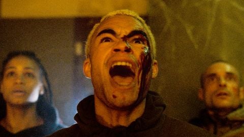 Vermine, la revue : des araignées géantes en banlieue parisienne