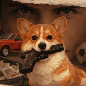 Furball : un chien millionnaire et un homme bestial sont les protagonistes du court métrage WeShort à regarder maintenant sur Comingsoon.it