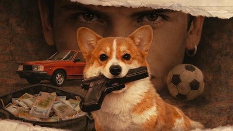 Furball : un chien millionnaire et un homme bestial sont les protagonistes du court métrage WeShort à regarder maintenant sur Comingsoon.it