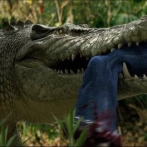Un alligator plein de méthamphétamine ? Oui, Methgator est né de vraies nouvelles