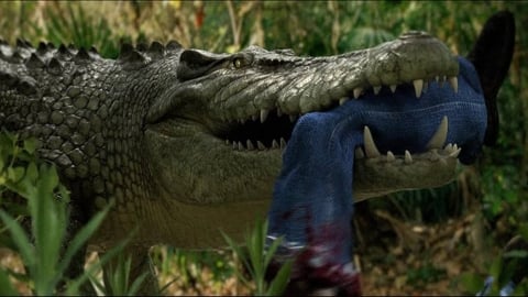 Un alligator plein de méthamphétamine ? Oui, Methgator est né de vraies nouvelles