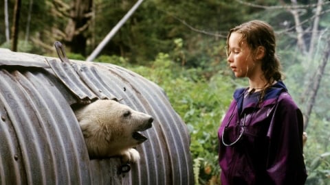 Un ourson polaire ciblé par les braconniers : pourra-t-il se sauver dans le final de l'Alaska ?