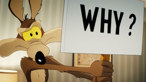 Coyotes vs Acme a déjà une avance dans les films Looney Tunes