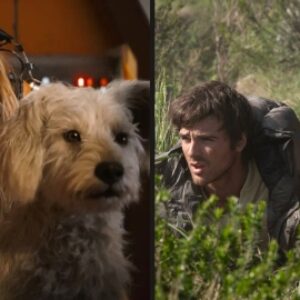 Journée internationale du chien, les chiens volent (aussi) la vedette au cinéma : de Krypto à The Dog Stars en passant par Heart of the Beast
