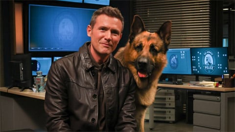 La renaissance de John Reardon, encore une fois le protagoniste de Hudson & Rex : le retour qui excite les fans (PHOTO)