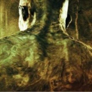 Pourquoi Jim Gillespie a changé la fin de Venom