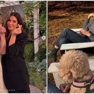 Sandra Bullock cède aux réseaux sociaux : l'actrice ne supporte plus les escrocs qui se font passer pour elle et trompent ses fans