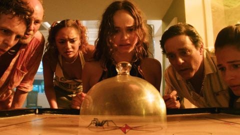Un groupe de jeunes influenceurs, une île paradisiaque et une colonie d'araignées mortelles : voici la bande-annonce de Spider Island