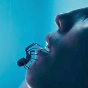 Vous avez peur des araignées ? Ne regardez pas cette bande-annonce pour quelque raison que ce soit (mais Matilda Lutz est dedans)