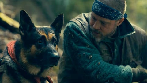 Brad Pitt et son lien profond avec son chien, dans une featurette vidéo Heart of the Beast