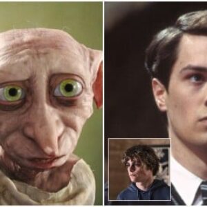 Harry Potter, la série a retrouvé Dobby et Tom Riddle et ce sont deux jeunes talents : voici où on les a déjà vus