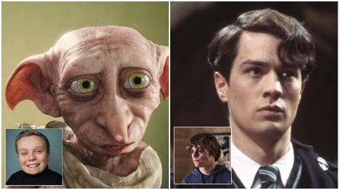 Harry Potter, la série a retrouvé Dobby et Tom Riddle et ce sont deux jeunes talents : voici où on les a déjà vus