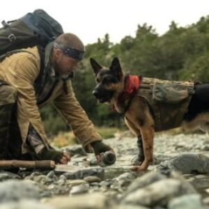 Heart of the Beast, la fin expliquée : qu'arrive-t-il au chien de Brad Pitt ?