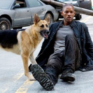 I Am Legend 2 : la suite avec Will Smith a un énorme problème, qu'est-ce qui la bloque