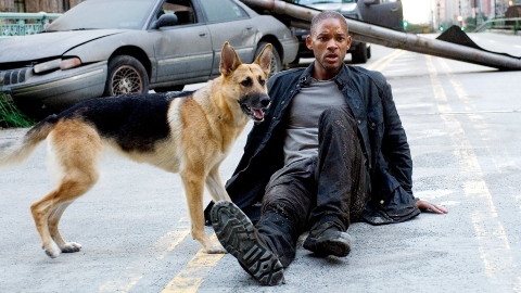 I Am Legend 2 : la suite avec Will Smith a un énorme problème, qu'est-ce qui la bloque