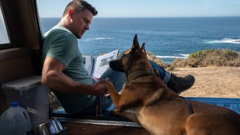 Le vrai chien de Channing Tatum est mort d'un cancer : l'histoire qui a inspiré Lulu et moi