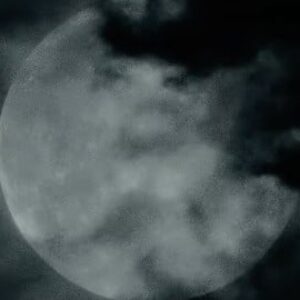 Wolf hurle, Robert Eggers hurle : voici la nouvelle bande-annonce de Werwulf