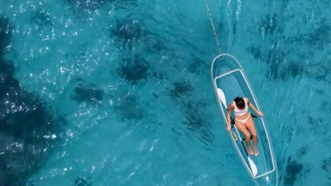 Festival du Film de Rome, Acea récompense le court métrage gagnant du concours "Les mille visages de l'eau"